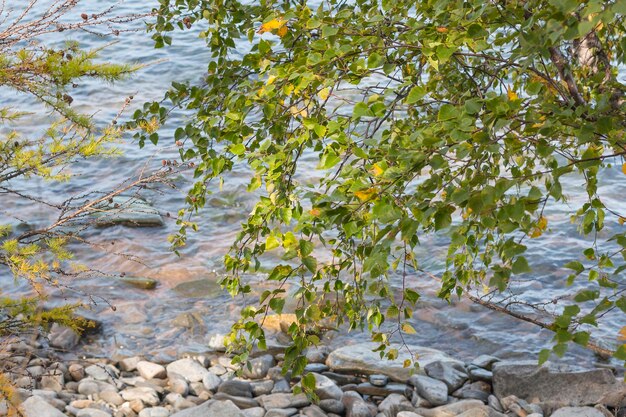 Foto lago baikal en otoño y verano