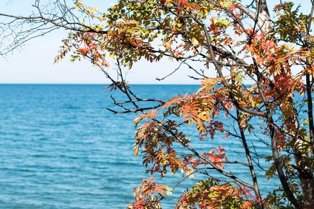 lago Baikal en verano y otoño