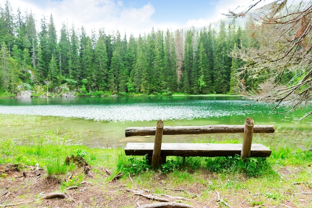 Lago y banco de madera