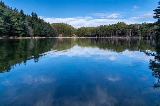 Lago "Bassa de Oles" con reflejo en invierno.