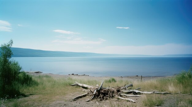 Lago Baykal en verano Ilustración AI GenerativexA