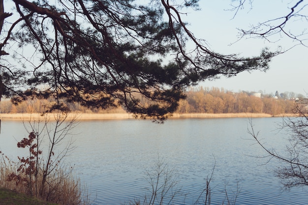 Lago bela floresta no início da primavera