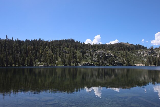 Foto lago big bear na floresta eureka plumas, califórnia