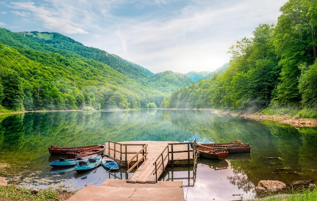 Lago Biogradska no Parque Nacional