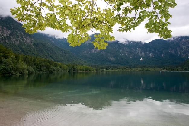 Lago Bohinj