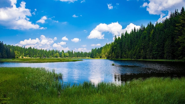 Un lago en el bosque con cielo azul y nubes.