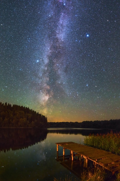 Lago del bosque bajo el cielo estrellado