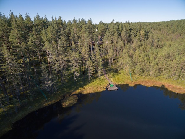 Foto lago del bosque desde un dron