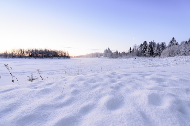 El lago y el bosque de hielo se han cubierto con una gran cantidad de nieve y un bonito cielo azul en la temporada de invierno en Holiday Village Kuukiuru, Finlandia.