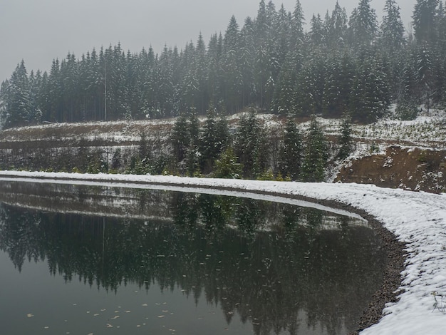 Lago y bosque de invierno en los Cárpatos