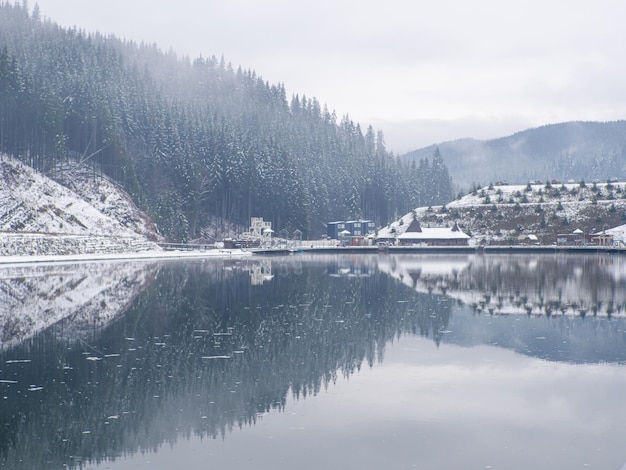 Lago y bosque de invierno en los Cárpatos