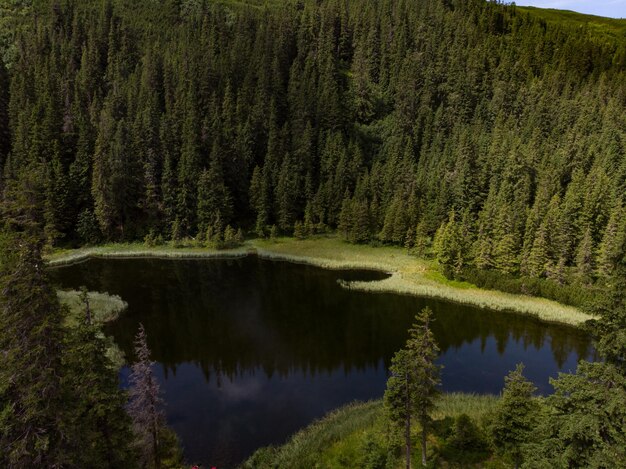 lago en el bosque en las montañas del bajo tatra