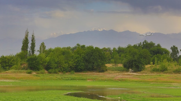 lago bosque y montañas