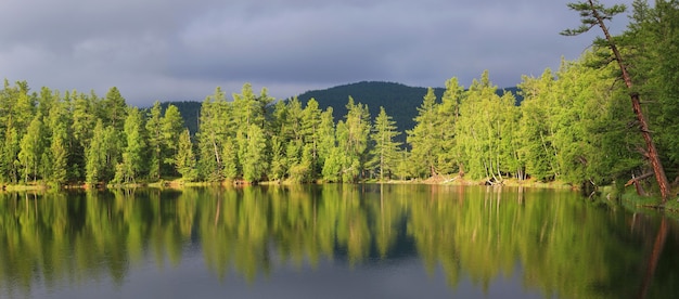 Lago del bosque salvaje con reflejo escénico