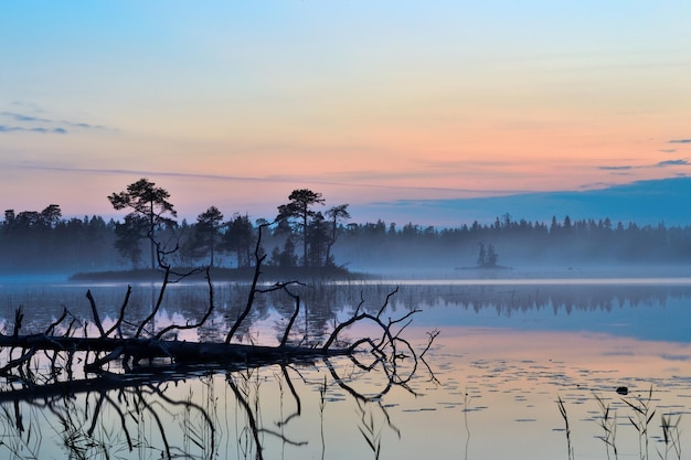 Un lago de bosque tranquilo en la niebla Hay un obstáculo en el agua Islas y bosque en la distancia