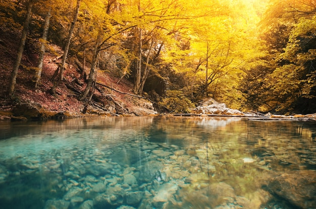 Lago en el bosque