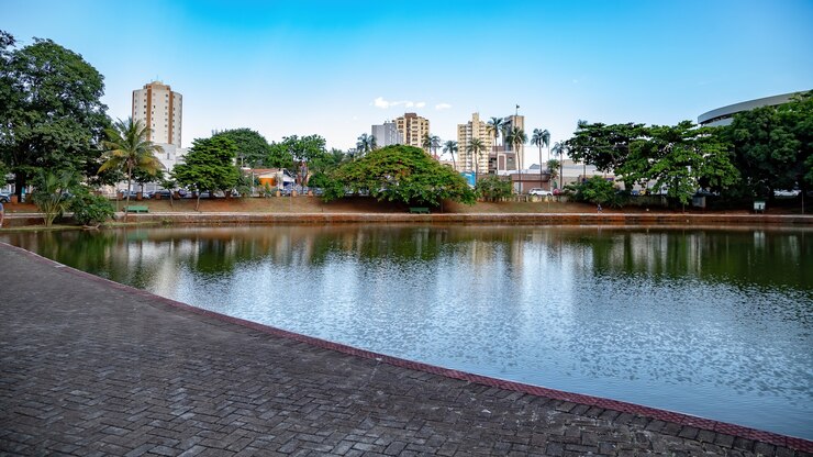 Foto lago buritis na floresta de buritis na cidade de goiânia