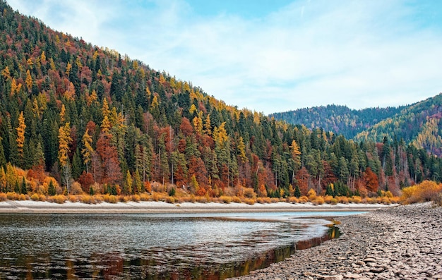 Lago calmo com águas baixas - pedras redondas na costa visíveis, árvores coníferas coloridas de outono do outro lado, céu azul acima