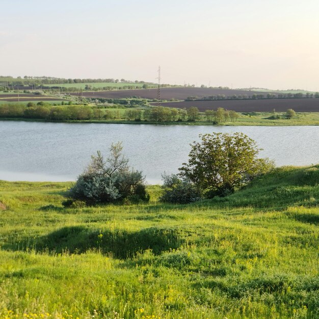 Un lago con un campo de hierba verde y un campo con un campo de hierba verde y flores.