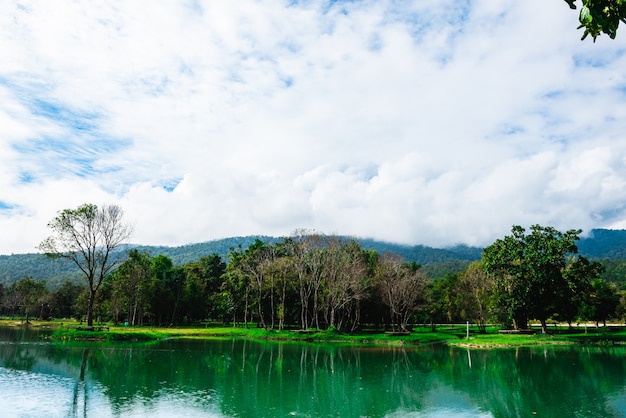 Lago cerca del campo de arroz con montañas