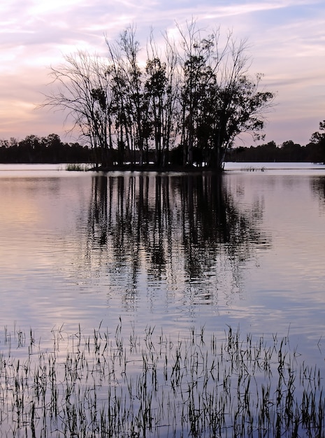 El lago cerca de Mina de S. Domingos en Alentejo, Portugal, en la puesta del sol con algunos árboles en su centro.