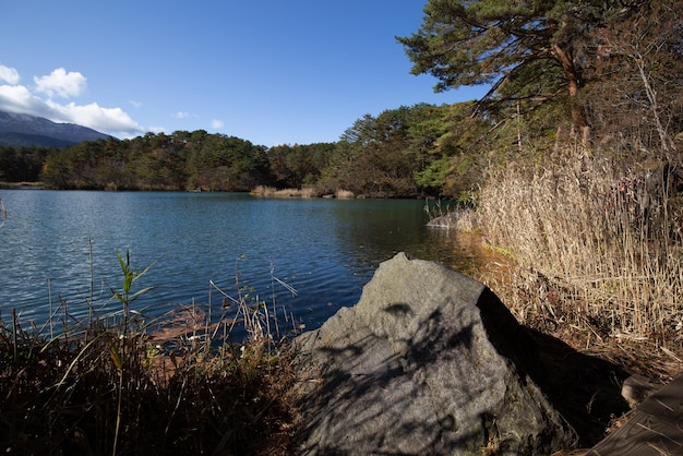 Un lago con un cielo azul y árboles.