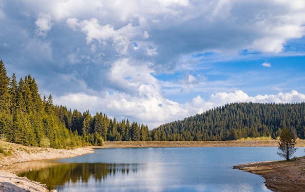 Lago com água clara e costa de pedra na floresta de abetos com abetos contra um céu diurno