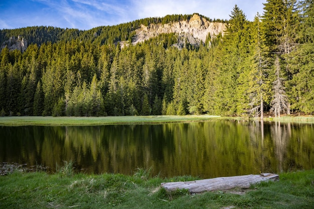 Lago com água clara e costa de pedra na floresta de abetos com abetos contra um céu diurno