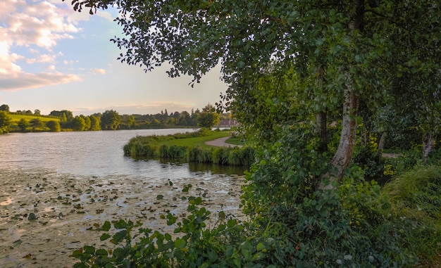 Lago com árvores ao entardecer