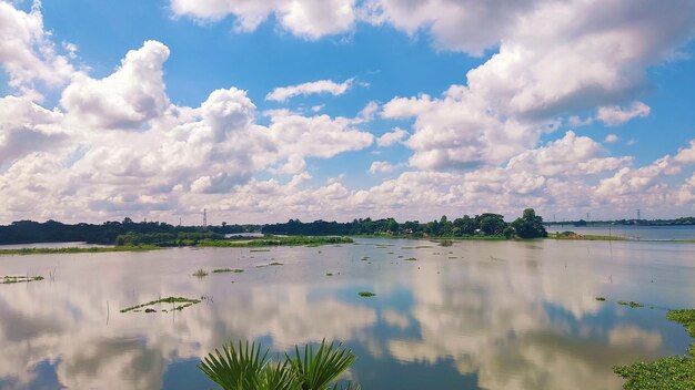 Lago com plantas e céu azul com nuvem