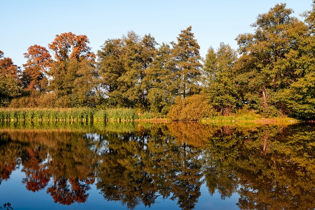 Lago com reflexão. Paisagem de outono. Cor de árvores laranja.