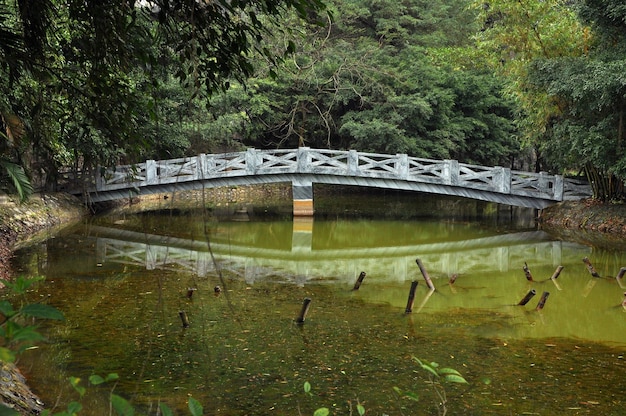 Lago com uma pequena ponte japonesa