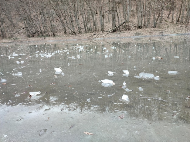 lago congelado en el bosque en invierno, primer plano de la foto