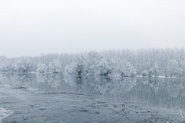 Lago congelado en invierno, reflejando la escena del lago de invierno