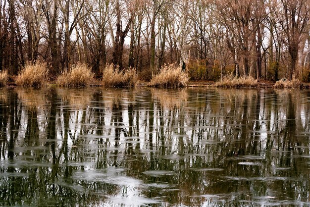 Lago congelado en invierno