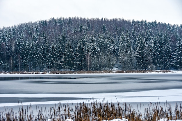 Lago congelado na floresta de inverno