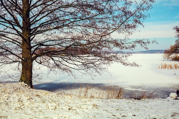 Lago congelado no inverno