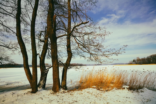 Lago congelado no inverno