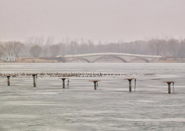 Un lago congelado con pájaros y un puente al fondo.