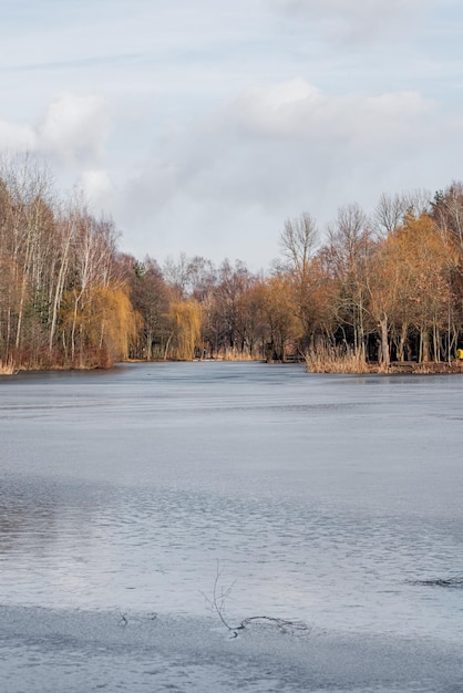 el lago congelado en el parque