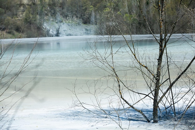 Un lago contaminado con desechos tóxicos en las montañas occidentales de Rumania Contaminación de la naturaleza