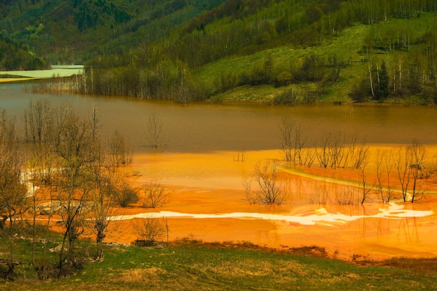 Un lago contaminado con desechos tóxicos en las montañas occidentales de Rumania Contaminación de la naturaleza