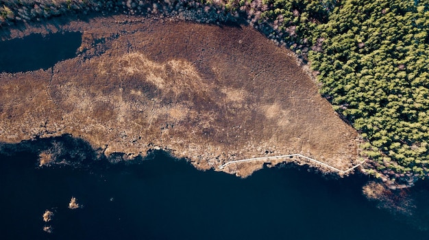 Lago cubierto y vista de senderos para caminar desde el dron Lugar para texto