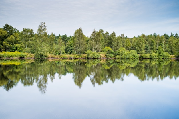 Lago da floresta clara no parque nacional