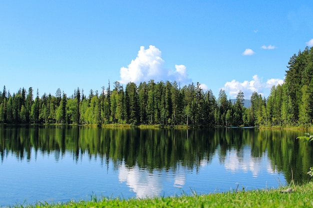 Lago da floresta com reflexo das árvores e nuvens na água