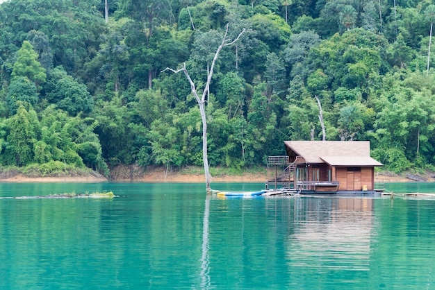 Foto lago dam