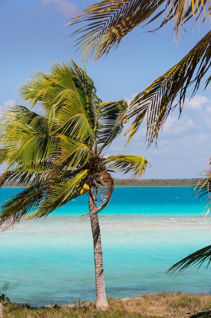 Lago de bacalar