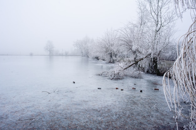 Lago de charneca congelado no inverno