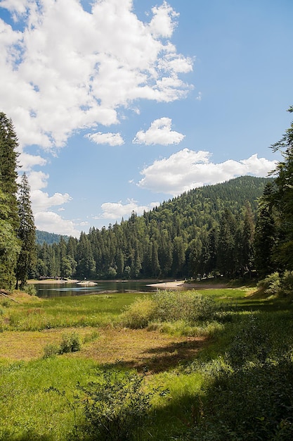 Lago de floresta selvagem de montanha majestosa