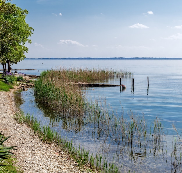 Lago de Garda com a típica vegetação aquática.